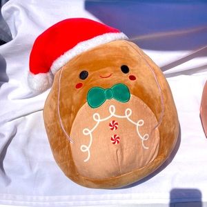 Jordan Squishmallow w/Tag